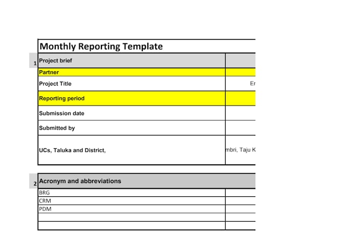 write professional ngo reports and donor reports